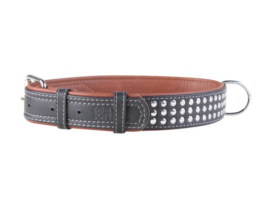 Фото 2 -  амуниция Collar WAUDOG Soft кожаный ошейник с заклепками для собак c QR паспортом, черный
