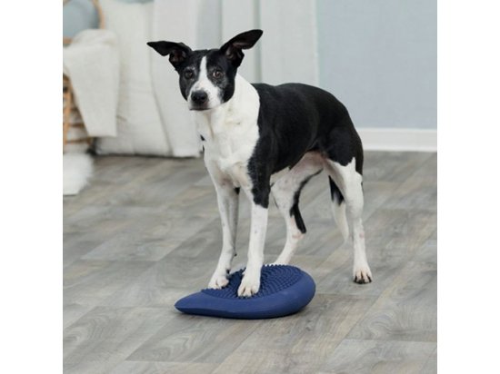 Фото 2 -  дресирування та спорт Trixie BALANCE CUSHION балансировочная подушка для тренировки собак (32093)