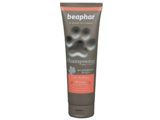 Фото - Beaphar Shampooing Éclat du Pelage Шампунь для блестящей шерсти собак повседневная косметика Beaphar Shampooing Éclat du Pelage Шампунь для блестящей шерсти собак