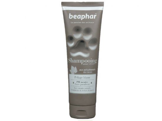 Фото - Шампунь для собак світлих забарвлень Beaphar Shampooing Pelage blanc повсякденна косметика Шампунь для собак світлих забарвлень Beaphar Shampooing Pelage blanc