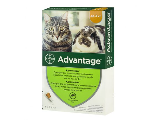 Фото - от блох и клещей BAYER Advantage капли от блох и власоедов для котов, котят и кроликов