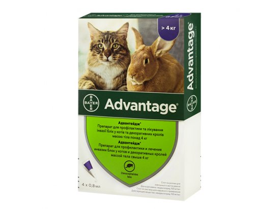 Фото - от блох и клещей BAYER Advantage капли от блох и власоедов для котов, котят и кроликов