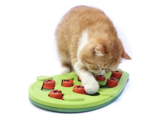 Фото 3 -  іграшки Nina Ottosson BUGGIN OUT PUZZLE інтерактивна іграшка - головоломка для котів БОЖА КОРІВКА