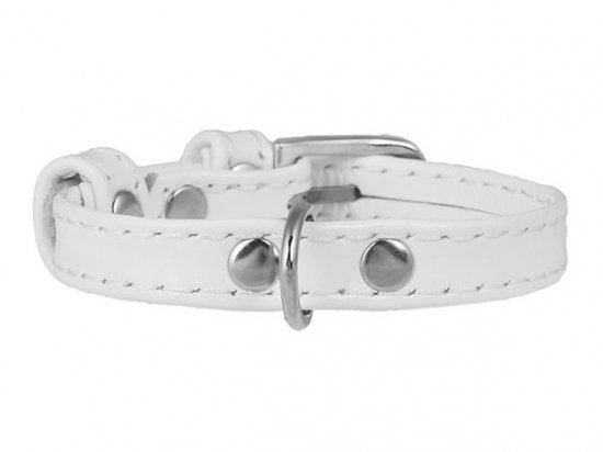 Фото - Collar Brilliance - Нашийник преміум класу, лакована шкіра, білий амуніція Collar Brilliance - Нашийник преміум класу, лакована шкіра, білий