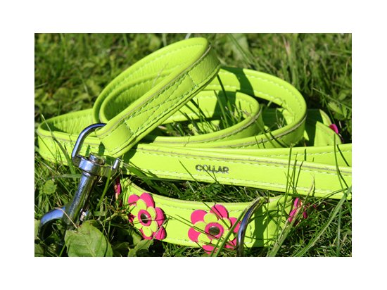Фото 5 -  амуниция CoLLaR Glamour - кожанный ошейник для собак с украшением аппликация