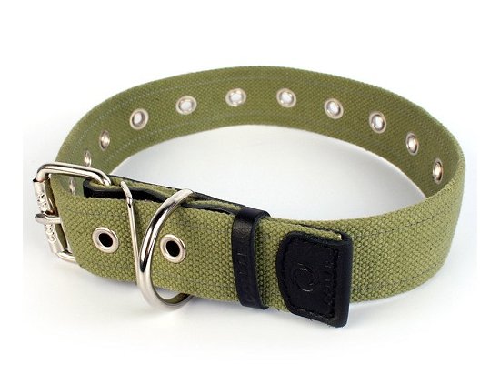 Фото - Collar Ошейник брезентовый для собак, безразмерный амуниция Collar Ошейник брезентовый для собак, безразмерный