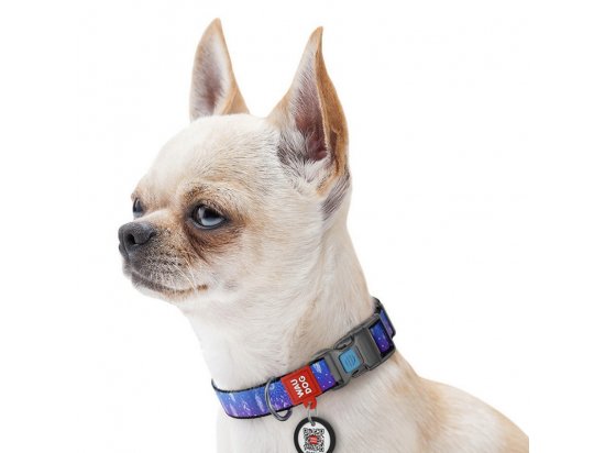 Фото 3 -  амуниция Collar WAUDOG Nylon ошейник c QR паспортом, пластиковый фастекс, ЛОВЕЦ СНОВ