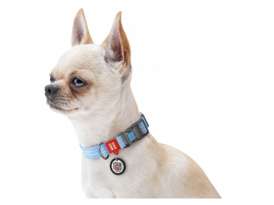 Фото 3 -  амуниция Collar WAUDOG Re-cotton с QR паспортом, ошейник из восстановленного хлопка, пластиковая пряжка, ГОЛУБОЙ