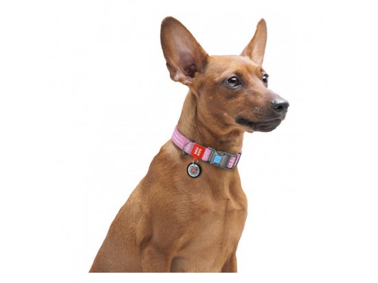 Фото 2 -  амуніція Collar WAUDOG Re-cotton з QR паспортом, нашийник з відновленої бавовни, пластикова пряжка, РОЖОВИЙ