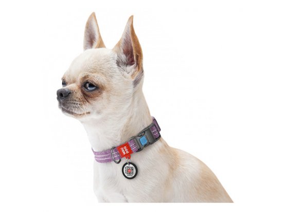 Фото 3 -  амуниция Collar WAUDOG Re-cotton с QR паспортом, ошейник из восстановленного хлопка, пластиковая пряжка, ФИОЛЕТОВЫЙ