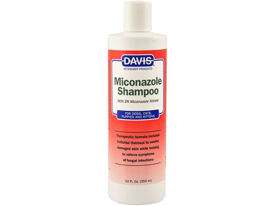 Фото - Davis MICONAZOLE SHAMPOO шампунь для собак и котов с заболеваниями кожи лечебная косметика Davis MICONAZOLE SHAMPOO шампунь для собак и котов с заболеваниями кожи