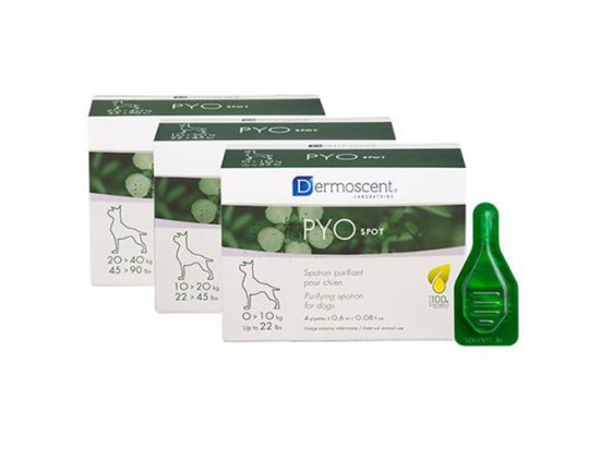 Фото - Dermoscent (Дермосент) PYOspot for dogs - Засіб для догляду за шкірою та шерстю собак з антибактеріальним ефектом лікувальна косметика Dermoscent (Дермосент) PYOspot for dogs - Засіб для догляду за шкірою та шерстю собак з антибактеріальним ефектом