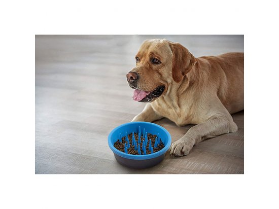 Фото 3 -  миски, напувалки, фонтани Dexas FEEDER SLOW DOG BOWL миска силіконова для повільного годування, яскраво-блакитний/сірий