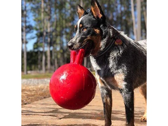 Фото 6 -  іграшки Jolly Pets TUG-N-TOSS іграшка для собак, м'яч з ручкою МАЛИЙ