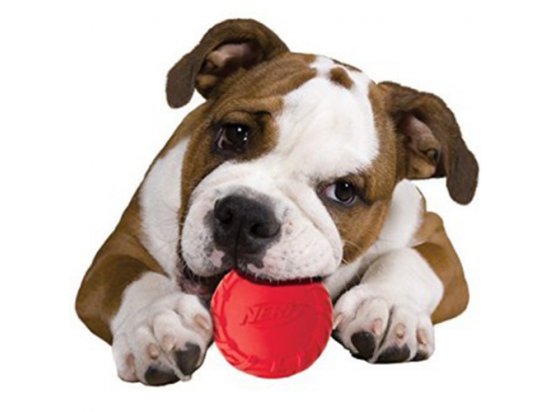Фото 5 -  игрушки Hagen NERF DOG Tire Squeak Ball игрушка для собак, с пищалкой