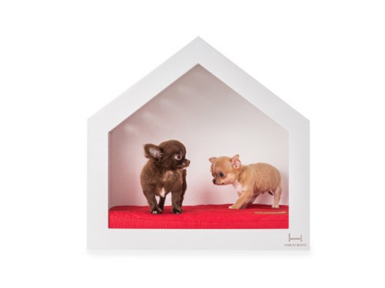 Фото 2 -  спальные места, лежаки, домики Harley & Cho SHELTER домик-будка для собак и котов