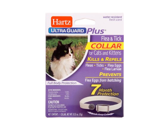 Фото - Hartz Ultra Guard Plus for Cats and Kittens - Нашийник для котів та кошенят від бліх та кліщів, БІЛИЙ від бліх та кліщів Hartz Ultra Guard Plus for Cats and Kittens - Нашийник для котів та кошенят від бліх та кліщів, БІЛИЙ