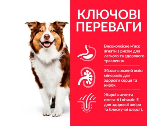 Фото 3 -  сухий корм Hill's Science Plan Mature Adult 7+ Active Longevity корм для собак середніх порід з ягнятком та рисом