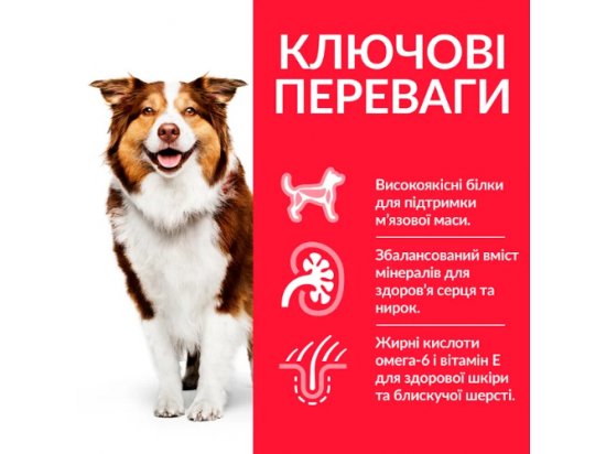 Фото - сухой корм Hill's Science Plan Mature Adult 7+ Active Longevity корм для собак средних пород с курицей