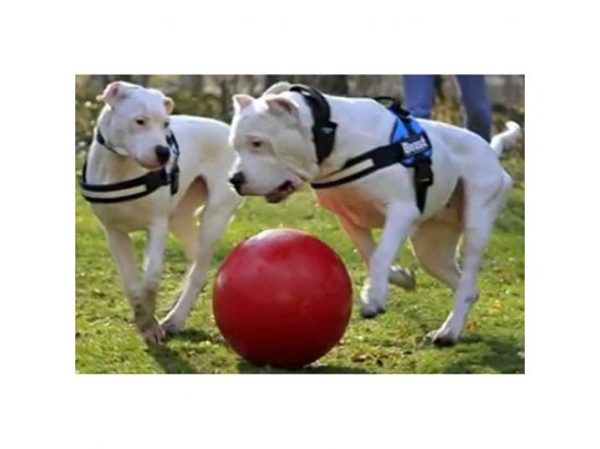 Фото 4 -  іграшки Jolly Pets BOUNCE-N-PLAY іграшка для собак, м'яч ВЕЛИКИЙ