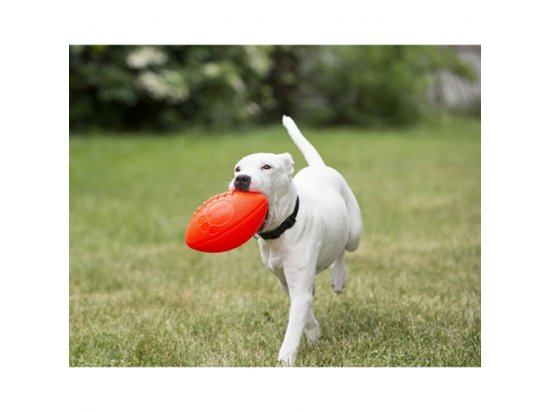 Фото 4 -  игрушки Jolly Pets FOOTBALL игрушка для собак, мяч овальный ФУТБОЛ
