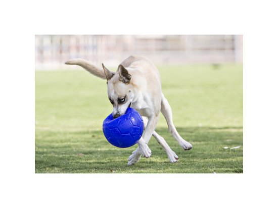 Фото 3 -  игрушки Jolly Pets JOLLY SOCCER BALL игрушка для собак, футбольный мяч