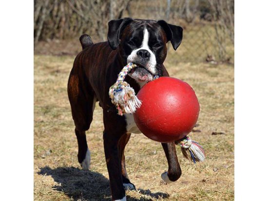 Фото 2 -  іграшки Jolly Pets TUG-N-TOSS іграшка для собак, м'яч із ручкою ГІГАНТСЬКИЙ
