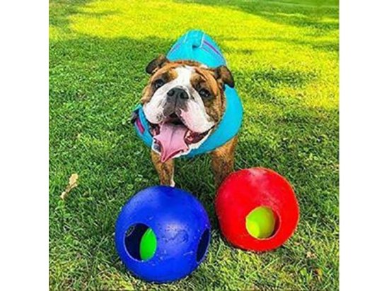 Фото 4 -  игрушки Jolly Pets TEASER BALL игрушка для собак, мяч в мяче МАЛЫЙ