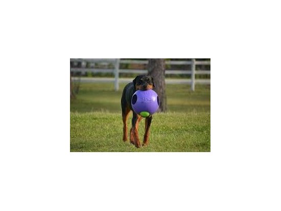 Фото 4 -  іграшки Jolly Pets TEASER BALL іграшка для собак, м'яч у м'ячі ВЕЛИКИЙ