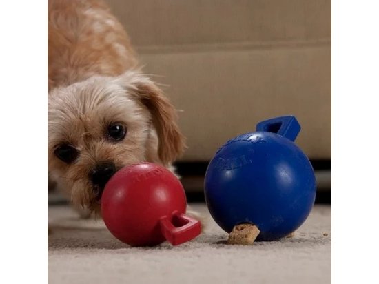 Фото 3 -  іграшки Jolly Pets TUG-N-TOSS MINI іграшка для собак, м'яч із ручкою міні