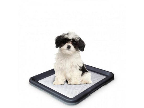Фото - Nobby Doggy Trainer Туалет для собаки туалети Nobby Doggy Trainer Туалет для собаки