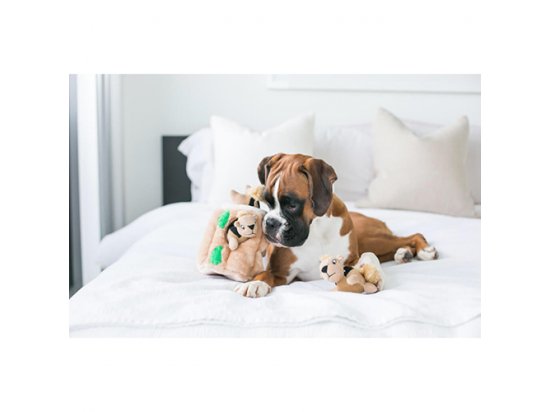 Фото 3 -  іграшки Outward Hound БІЛКА - ТАЄМНИК інтерактивна іграшка для собак