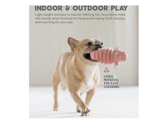 Фото 3 -  іграшки Outward Hound ACCORDIONZ PIG іграшка пищалка для собак СВИНКА АКОРДЕОН