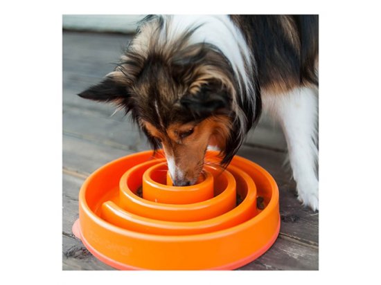 Фото 5 -  миски, напувалки, фонтани Outward Hound FUN FEEDER SLO - BOWL миска - лабіринт для повільної їжі для собак