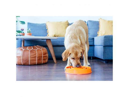 Фото 3 -  миски, напувалки, фонтани Outward Hound FUN FEEDER SLO - BOWL миска - лабіринт для повільної їжі для собак