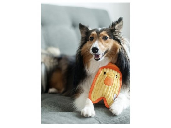 Фото 5 -  іграшки Outward Hound MINIS CHICKY іграшка пищалка для собак КУРЧА