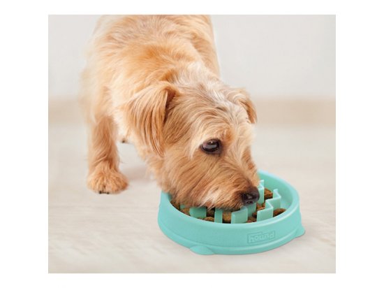 Фото 4 -  миски, напувалки, фонтани Outward Hound SLO - BOWL TINY миска - лабіринт для повільної їжі для собак
