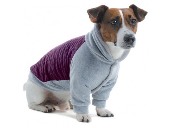 Фото - Pet Fashion ГЕНРІ ТОЛСТОВКА одяг для собак одяг Pet Fashion ГЕНРІ ТОЛСТОВКА одяг для собак