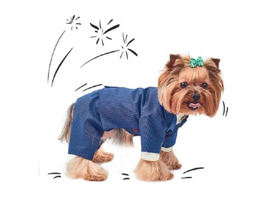 Фото - Pet Fashion (Пет Фешин) ДЖОВАННЯ костюм трійка для собак одяг Pet Fashion (Пет Фешин) ДЖОВАННЯ костюм трійка для собак