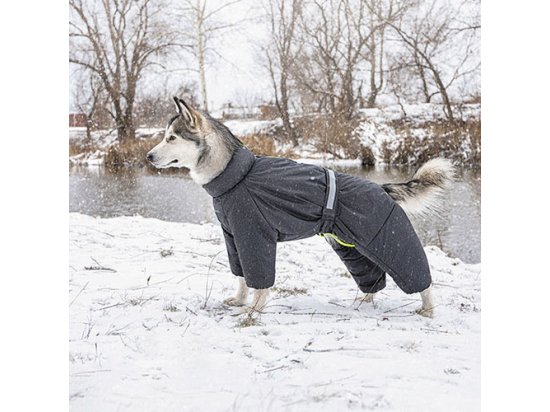 Фото 5 -  одяг Pet Fashion COLD комбінезон - одяг для собак
