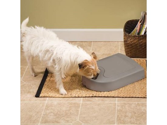 Фото 4 -  миски, поилки, фонтаны PetSafe 5 MEAL PET FEEDER автоматическая кормушка для кошек и собак с таймером