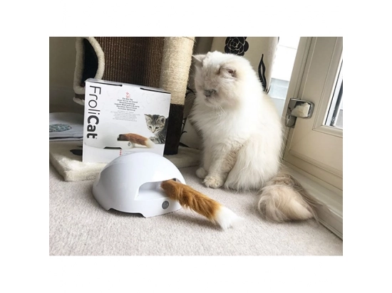 Фото 2 -  іграшки PetSafe FROLI CAT інтерактивна іграшка для котів