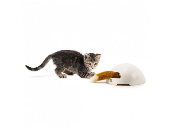 Фото 3 -  іграшки PetSafe FROLI CAT інтерактивна іграшка для котів