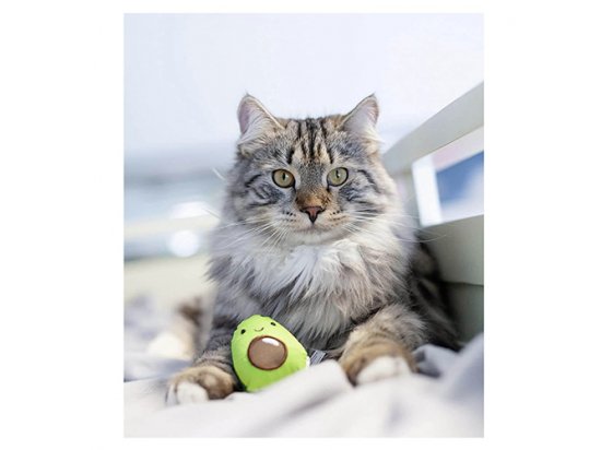Фото 3 -  игрушки Petstages AVOCATO игрушка для кошек АВОКАДО