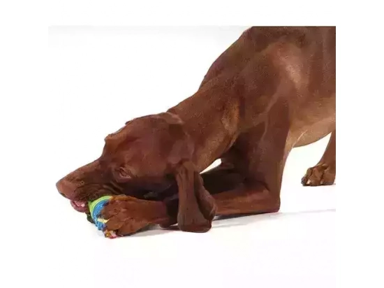 Фото 3 -  іграшки Petstages (Петстейджес) Calming Treat Capsule - Капсула для ласощів - Іграшка для собак