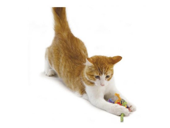 Фото 2 -  іграшки Petstages CATNIP TONS OF TAILS іграшка для котів ТОВСТІ ХВОСТИКИ