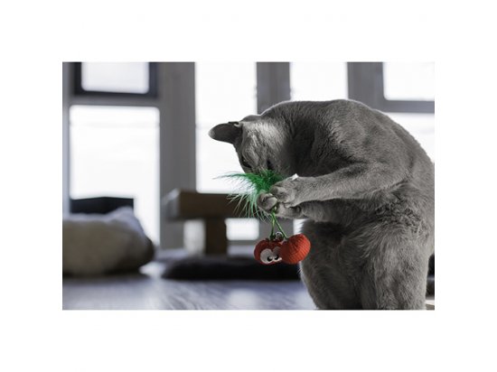 Фото 3 -  іграшки Petstages DENTAL CHERRIES іграшка для котів ВИШНІ
