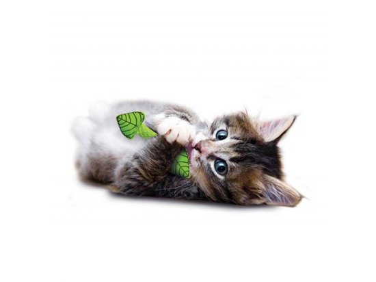 Фото 2 -  іграшки Petstages FRESH BREATH MINT STICK іграшка для кішок М'ЯТНА ПАЛИЧКА