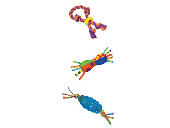 Фото - Petstages MINI CHEW STARTER SMALL - набор игрушек для собак МИНИ СТАРТЕР игрушки Petstages MINI CHEW STARTER SMALL - набор игрушек для собак МИНИ СТАРТЕР