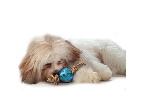 Фото 3 -  іграшки PETSTAGES Mini Orka Ball with rope Орка міні-м'ячик з канатиками - іграшка для собак